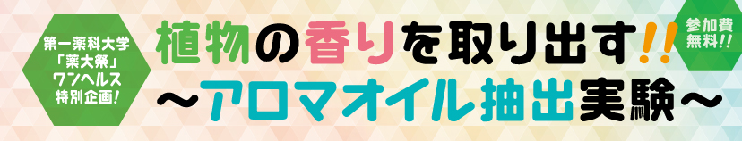 植物の香りを取り出す!! 〜アロマオイル抽出実験〜